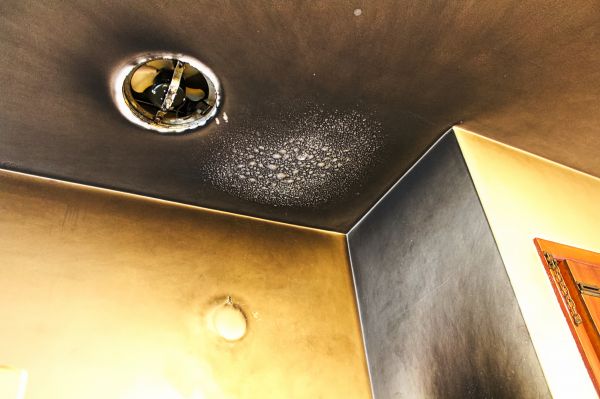 Cost of Smoke Damage Service in Elmhurst
